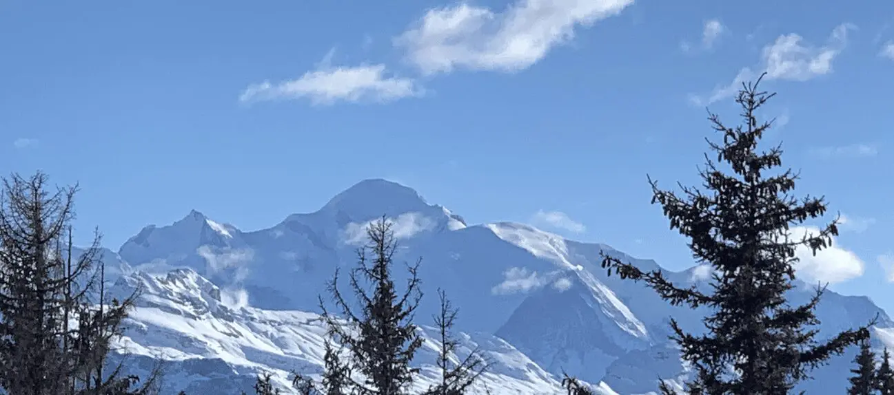 Verschneite Berglandschaft mit Tannen unter blauem Himmel
