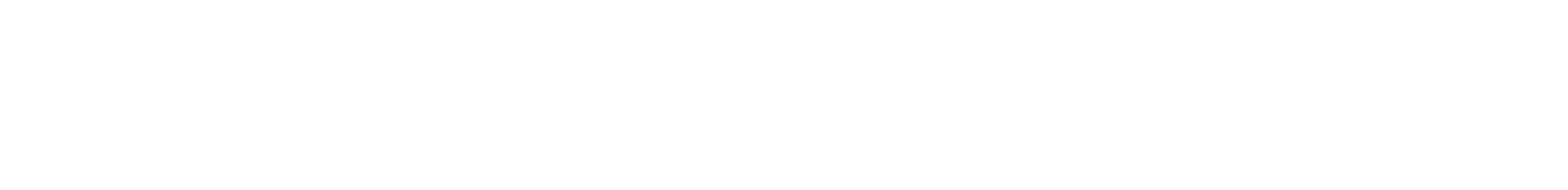 2026 07 16 Logoexport Satoshi Wortmarke weiss